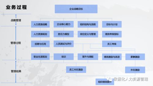 數(shù)據(jù)產(chǎn)品在人力資源管理的實(shí)踐與思考 一、在線數(shù)據(jù)處理與交易處理業(yè)務(wù)